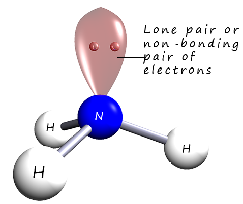 The ammonia molecule contains a lone pair or non-bonding pair of electrons